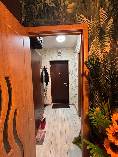Rahova, Petre Ispirescu, proprietar,